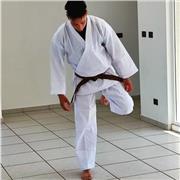 Profesor de taekwondo dicta clases a niños, jóvenes y adultos